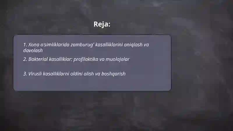 Xona o'simliklarida uchraydigan kasalliklarga qarshi kurashish 2