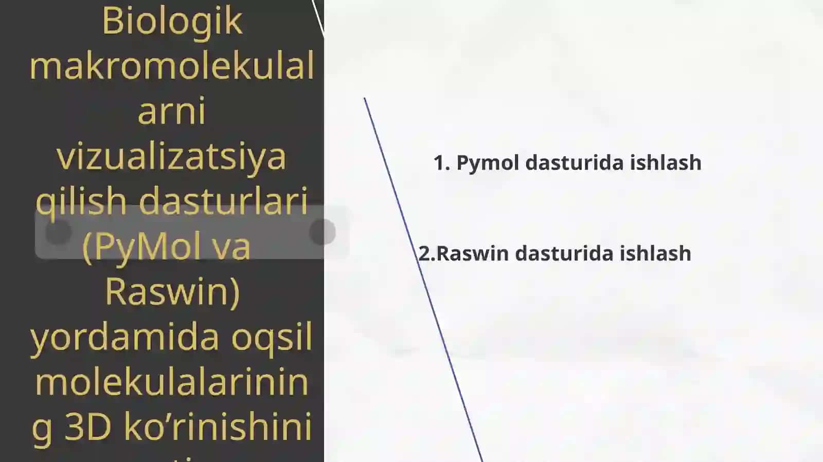 Biologik makromolekulalarni vizualizatsiya qilish dasturlari (PyMol va Raswin) 2