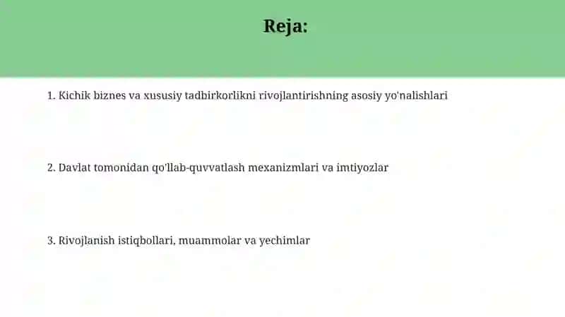 Kichik biznes va xususiy tadbirkorlikni rivojlantirish bo'yi​cha davlatning iqtisodiy siyosati 2