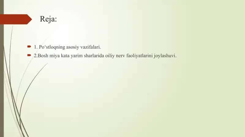 Bosh miya yarim sharlari 2