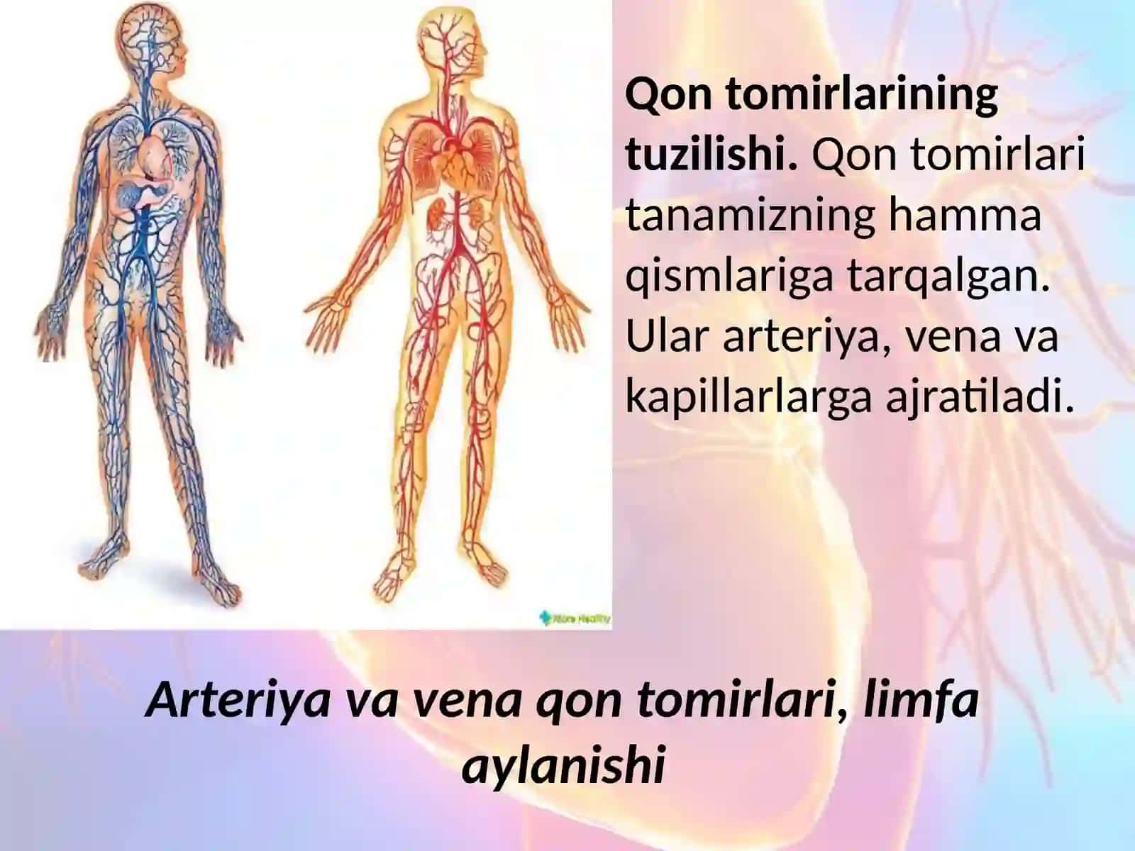 Odam va uning salomatligi 2