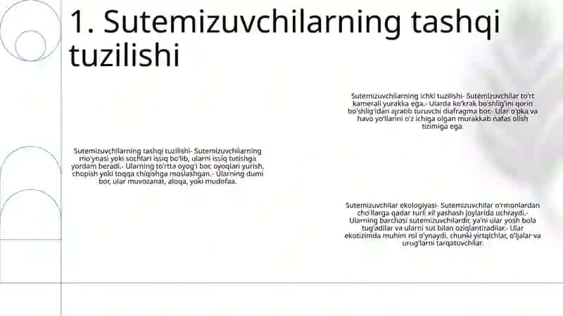 Sutemizuvchilarning Tashqi Va Ichki Tuzilishi 2