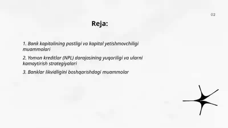 Bank tizimi rivojlantirish muammolari 2