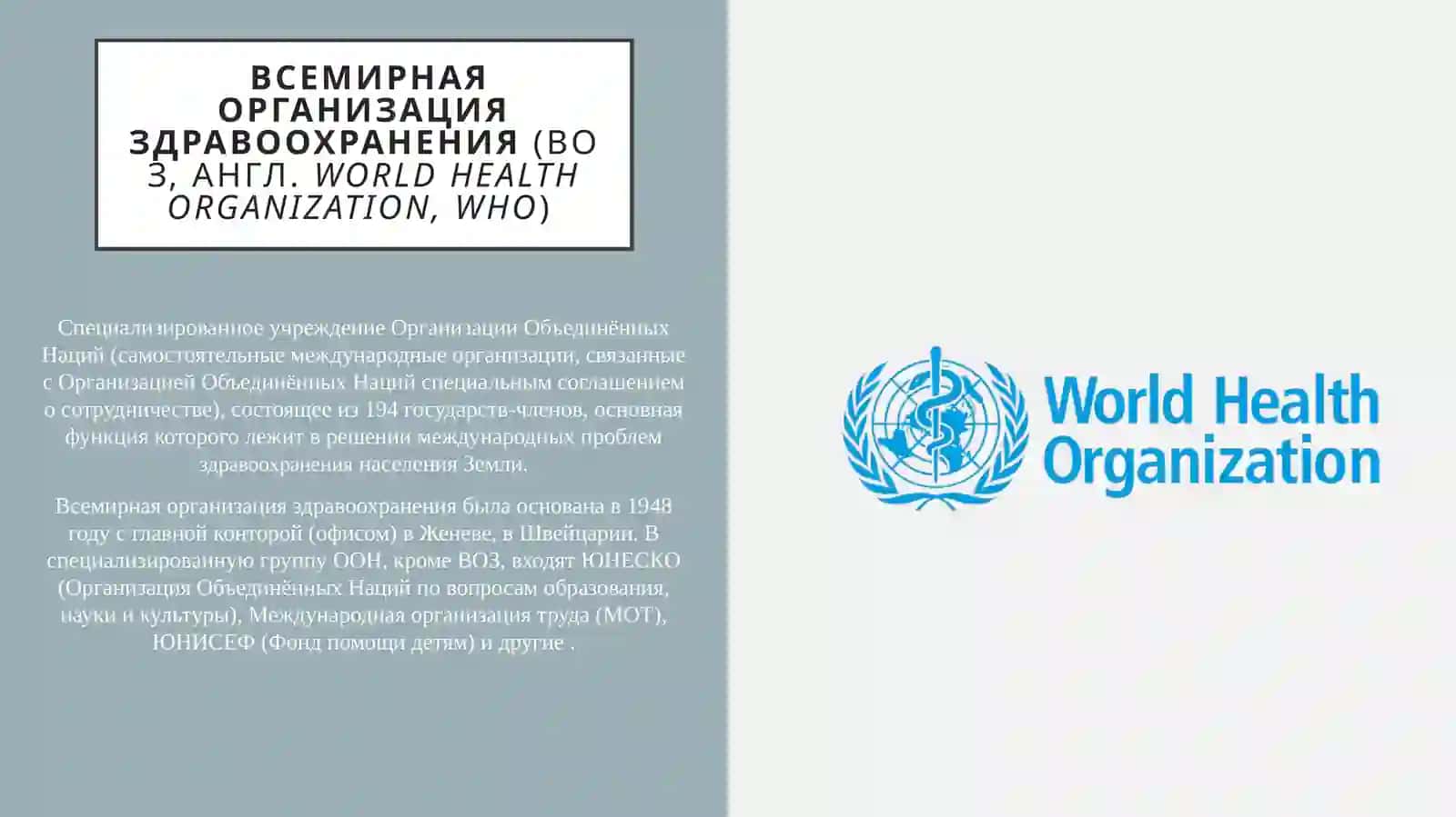 Всемирная организация здравоохранения 2