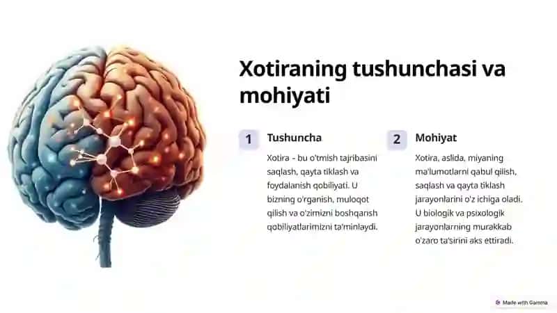 Xotira rivojining asosiy omillari va shart-sharoitlari 2