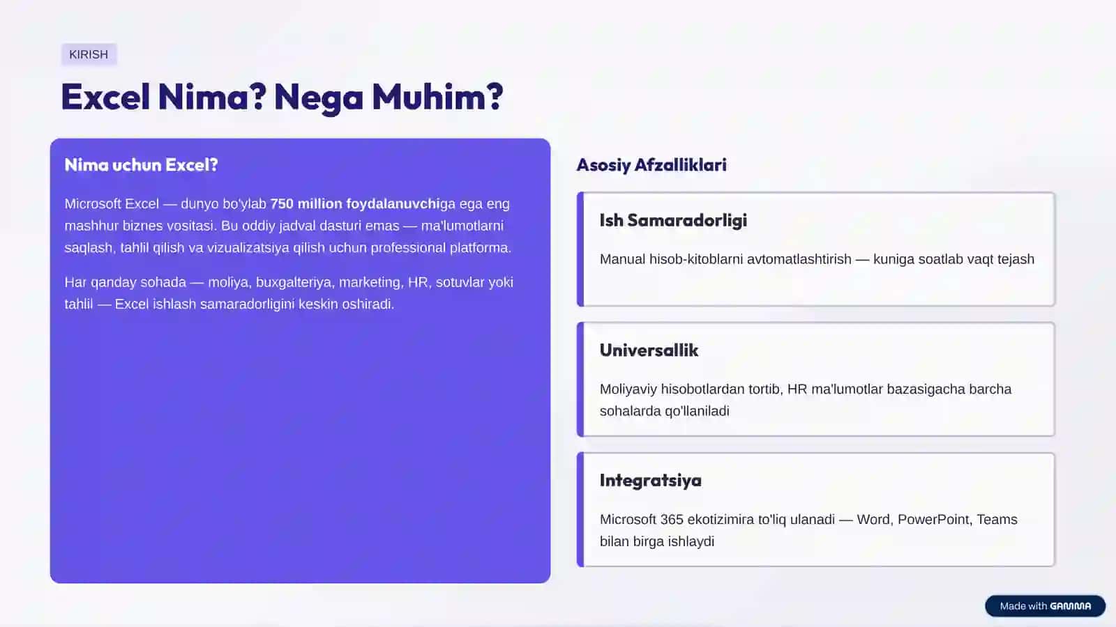 Microsoft Excel: Professional Imkoniyatlari 2