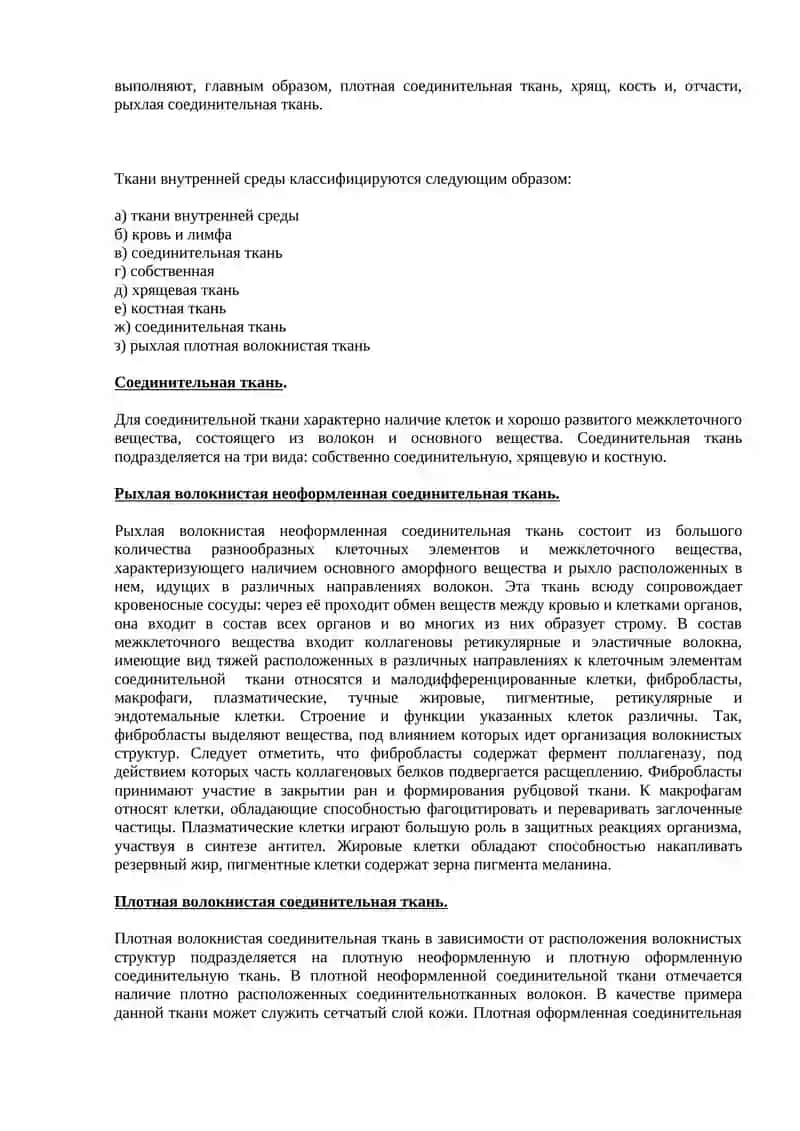 Общая анатомия костной системы 2