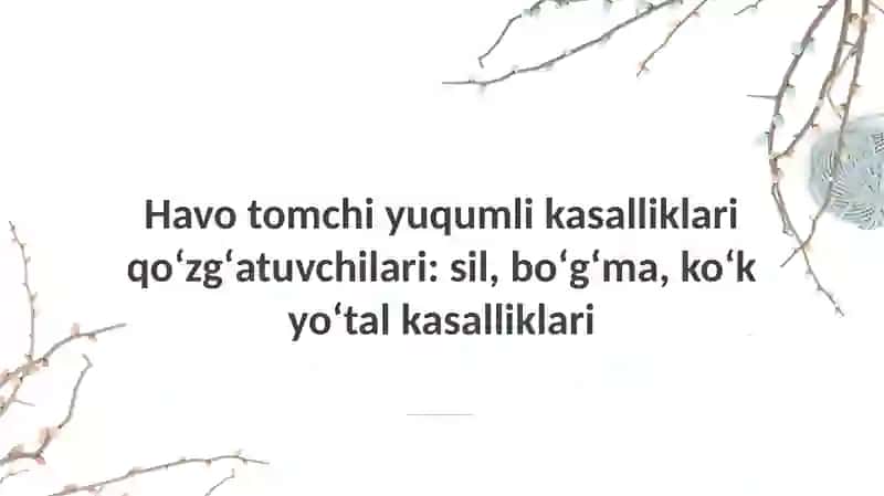 Havo tomchi yuqumli kasalliklari qoʻzgʻatuvchilari: sil, boʻgʻma, koʻk yoʻtal kasalliklari 2