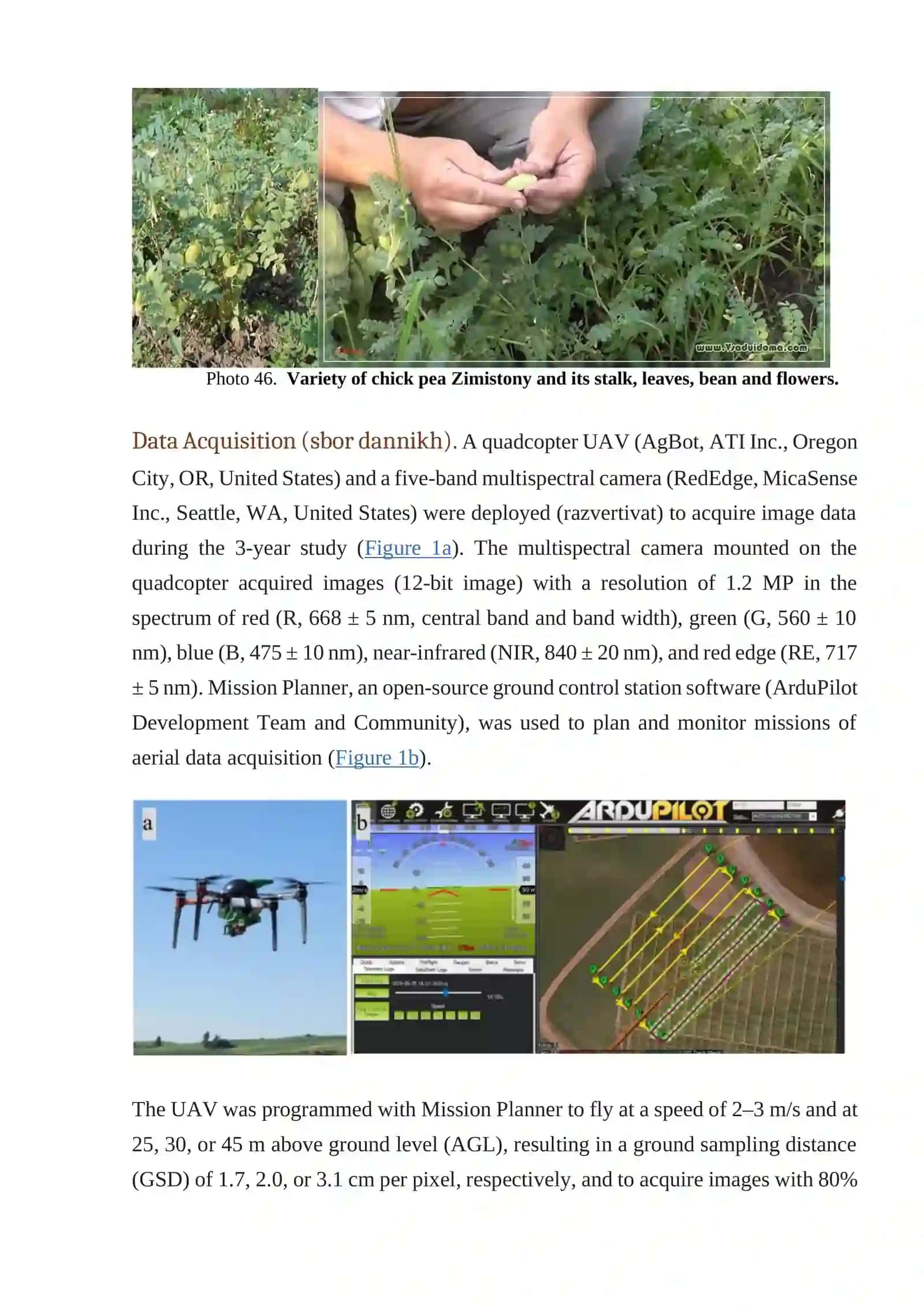 Order of phonologic observations at the period of growth of chickpea (noot) varieties 2