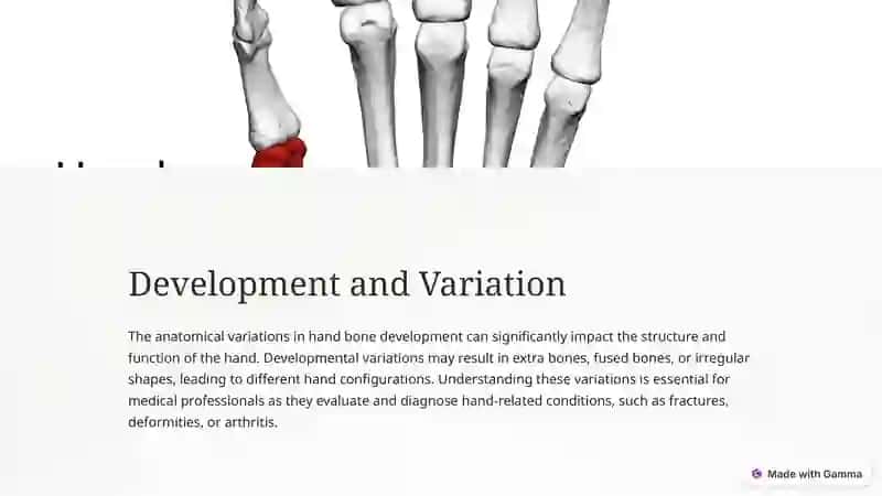 Anatomy of the Bones of the Hand 2