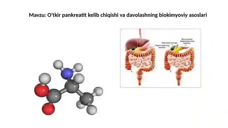 O'tkirpankreatit kelib chiqishi va davolashning biokimyoviy asoslari 2