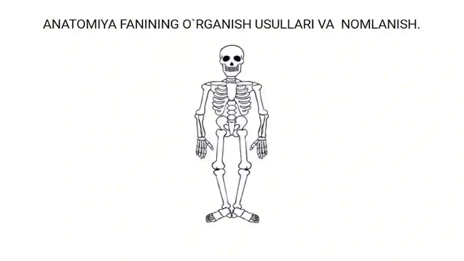 Kop Tarmoqli Tibbiyot Texnikumi Hamshiralikishiyonalishi 114-guruhta labasi 2