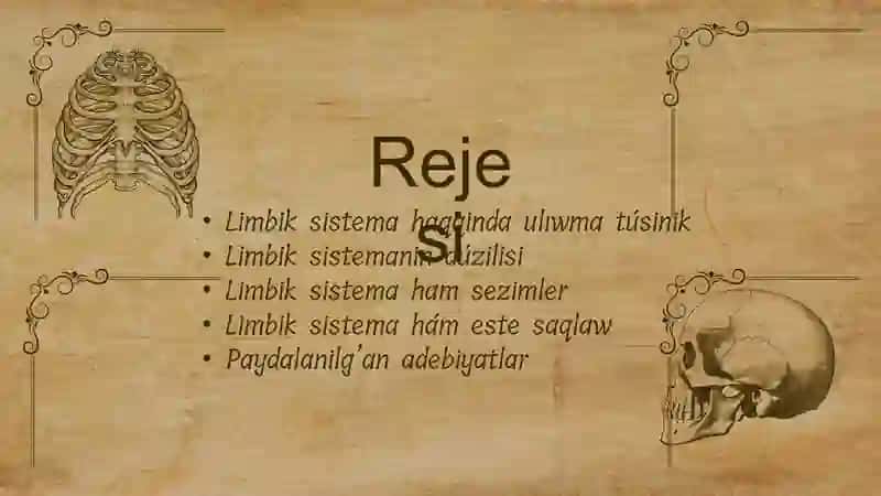 Limbik Sistema 2