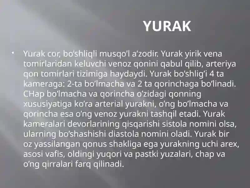 Yurak tuzilishi 2