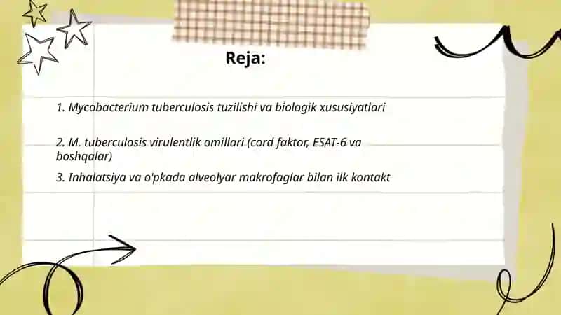 Sil patogenezi 2