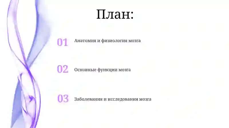 Головной мозг 2