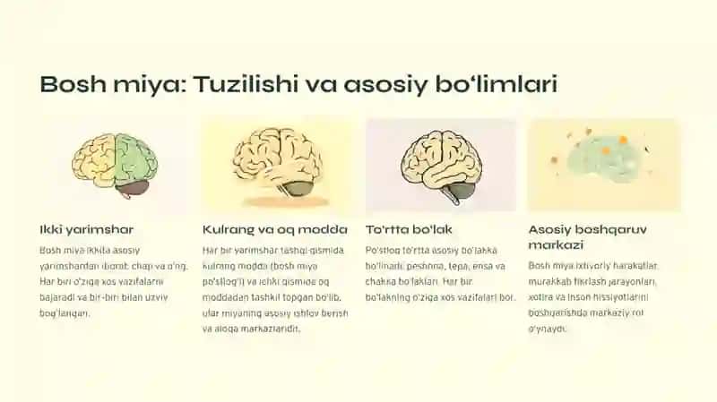 Bolalarda bosh miyaning morfologik va funksional hususiyatlari. Tug‘ilgandan keyin markaziy asab tizimining o‘sishi va differensirovkasi: neyronlar differensirovkasi, miyelinizatsiya jarayoni, asab tizimining xar xil bo‘limlarini rivojlanishi 2