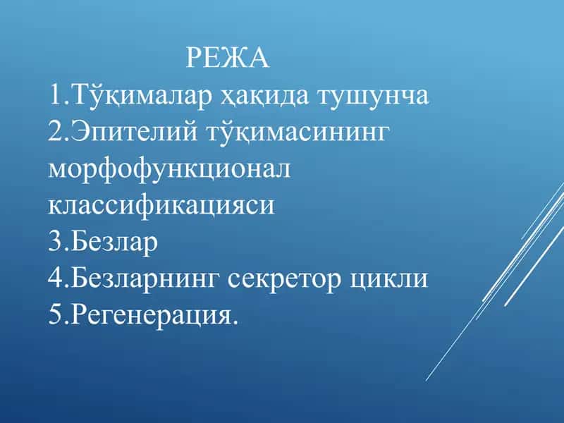 Эпителий 2