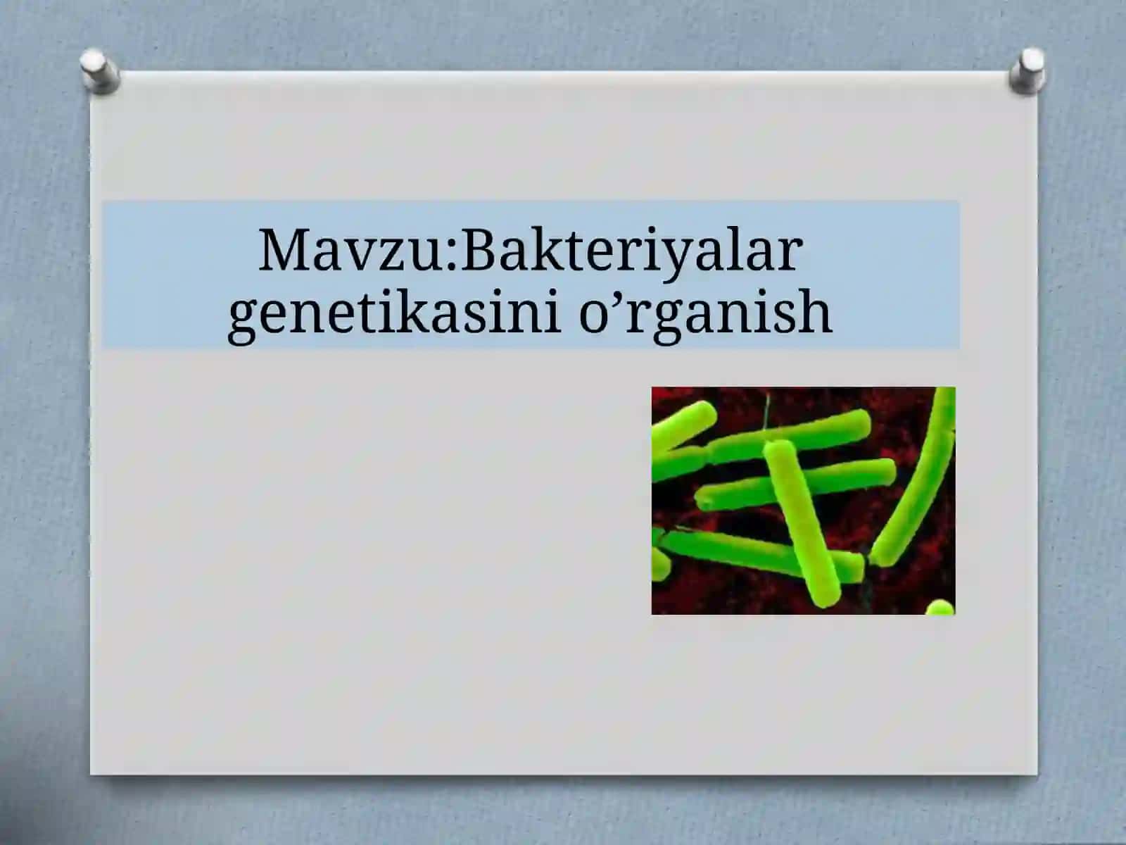 Bakteriyalarning genetikasi 2