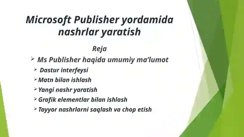 Microsoft Publisher yordamida nashrlar yaratish 2