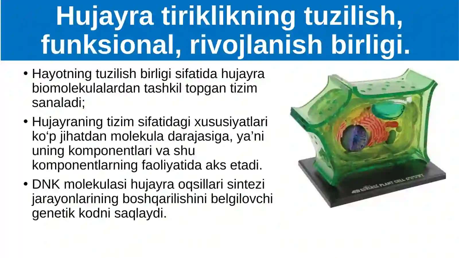 Hayotning hujayra darajasi va uning o‘ziga xos jihatlari 2
