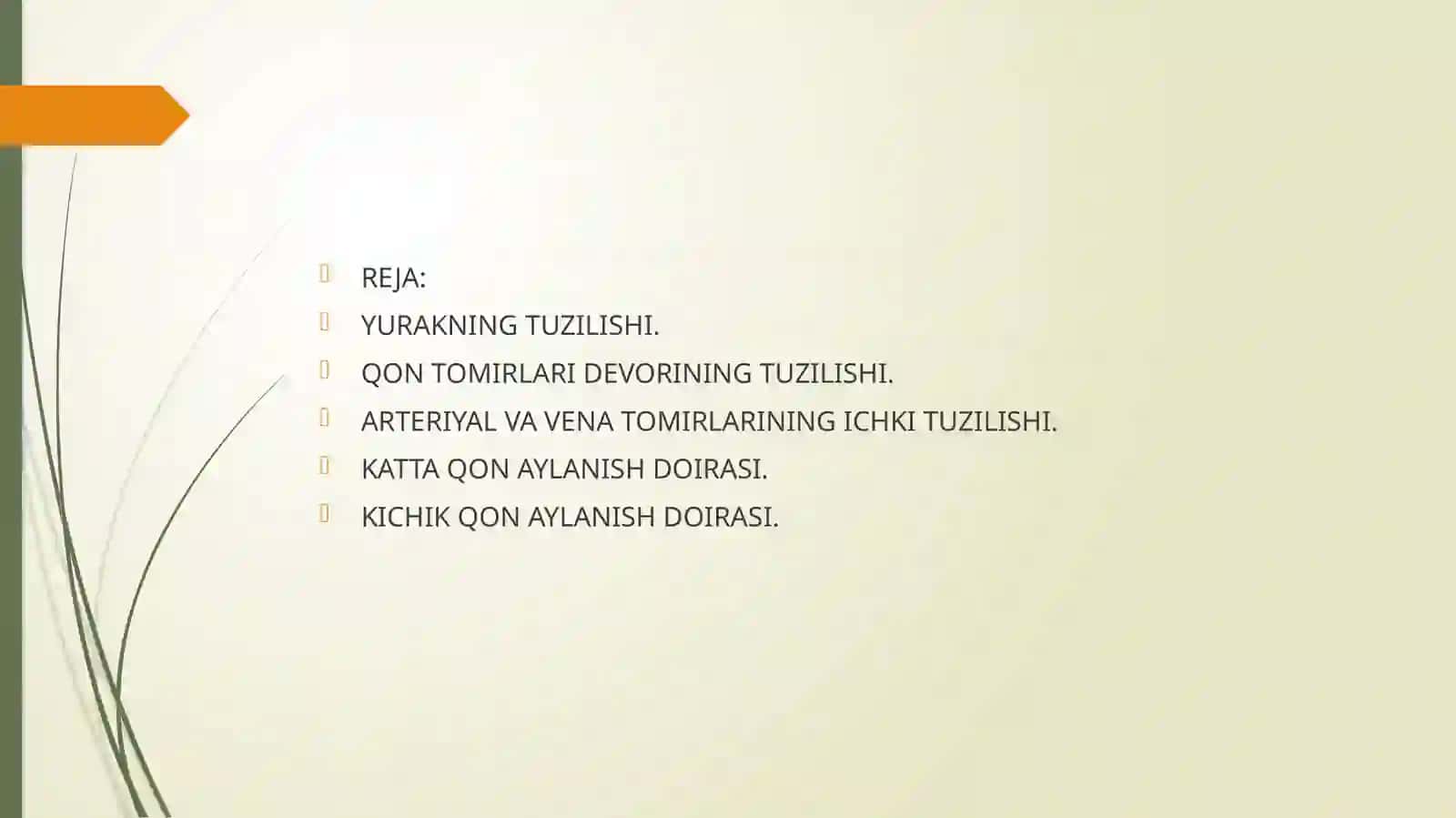 QON TOMIRLARNING TUZILISHI. QON AYLANISH DOIRASI 2