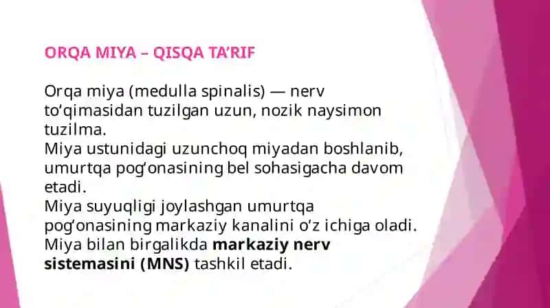 Orqa miya o’zaklarining joylashuvi va ularning ahamiyati 2