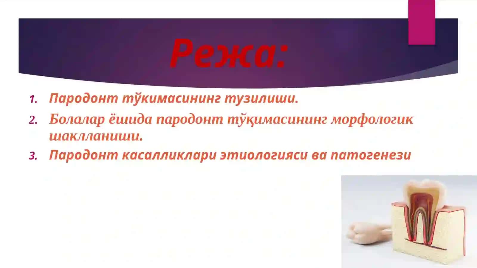 Bolalarda parodont tuzilishining anatomik va fiziologik xususiyatlari.Bolalar parodont kasalliklarining yetiologiyasi va patogenezi 2