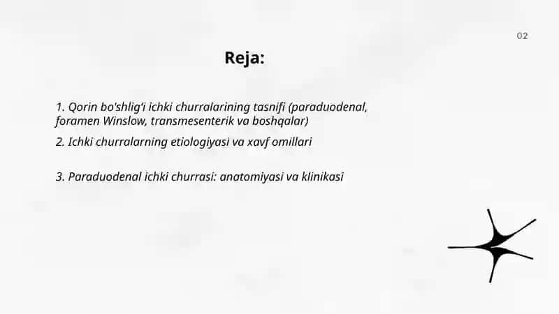 Qorin bo'shligʻi ichki churralari 2