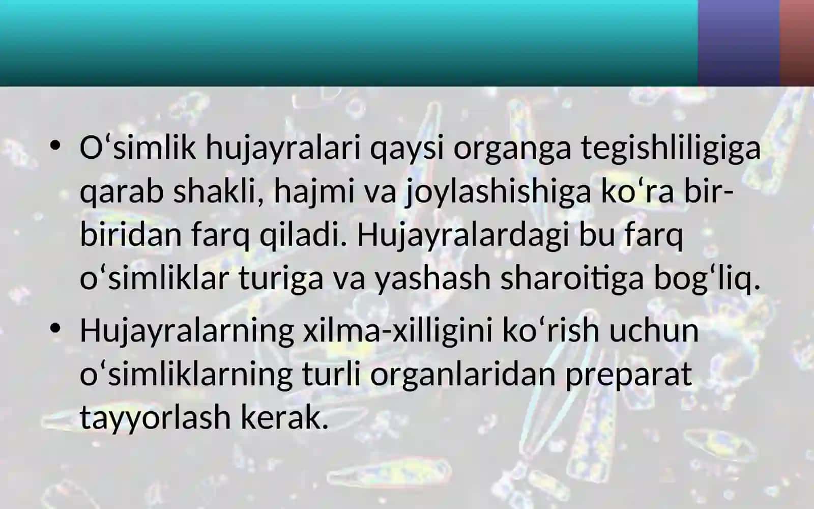 5-sinf Botanika O'simlik hujayrasining mikroskopda ko'rinishi 2