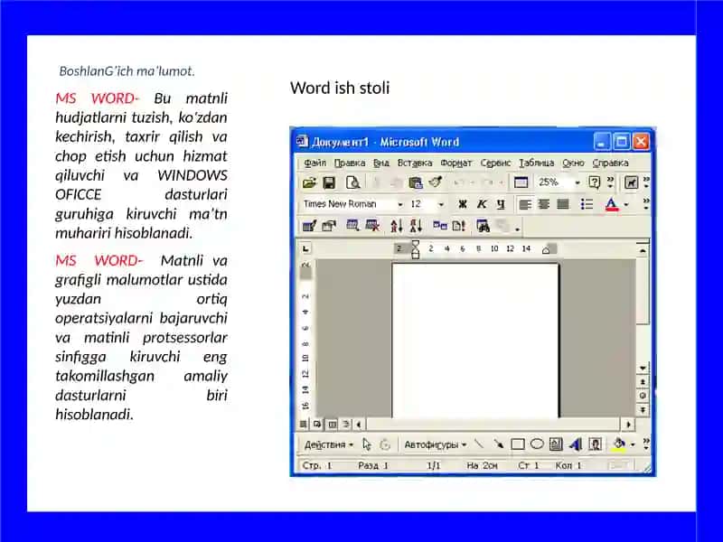 MS WORD 2