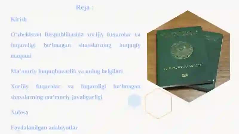 Xorijiy fuqarolar va fuqaroligi bo'lmagan shaxslarning ma’muriy javobgarligi 2