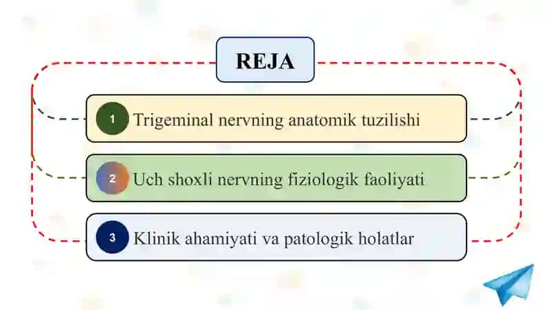 Uch shoxli (trigeminal) nervning tuzilishi          Uch shoxli (trigeminal) nervning tuzilishi 2
