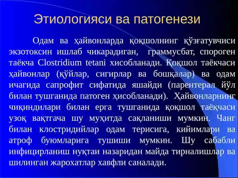 Қоқшол 2
