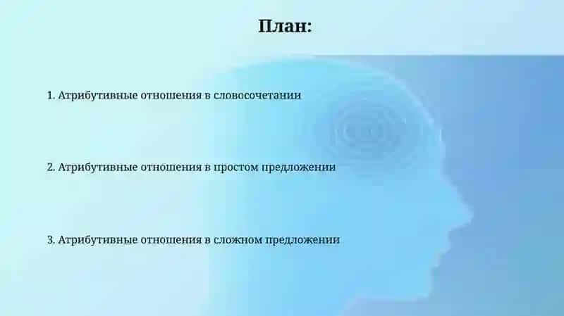 Атрибутивные отношения в структуре словосочетания, простом и сложном предложениях 2