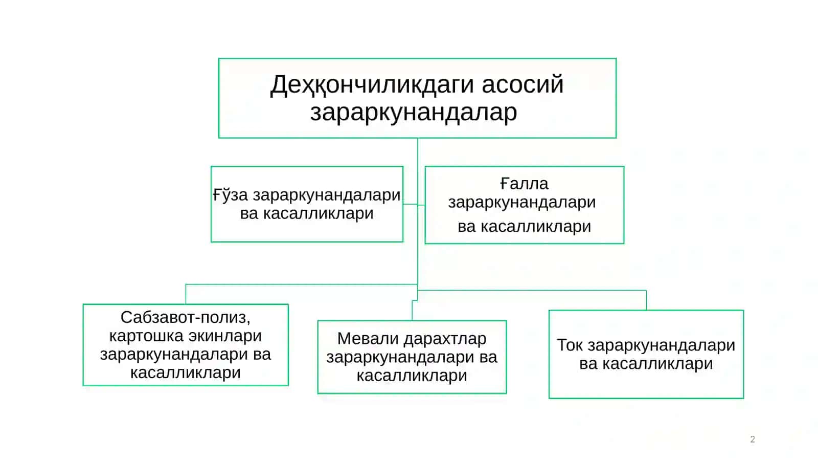 КУЗГИ ТУНЛАМ 2
