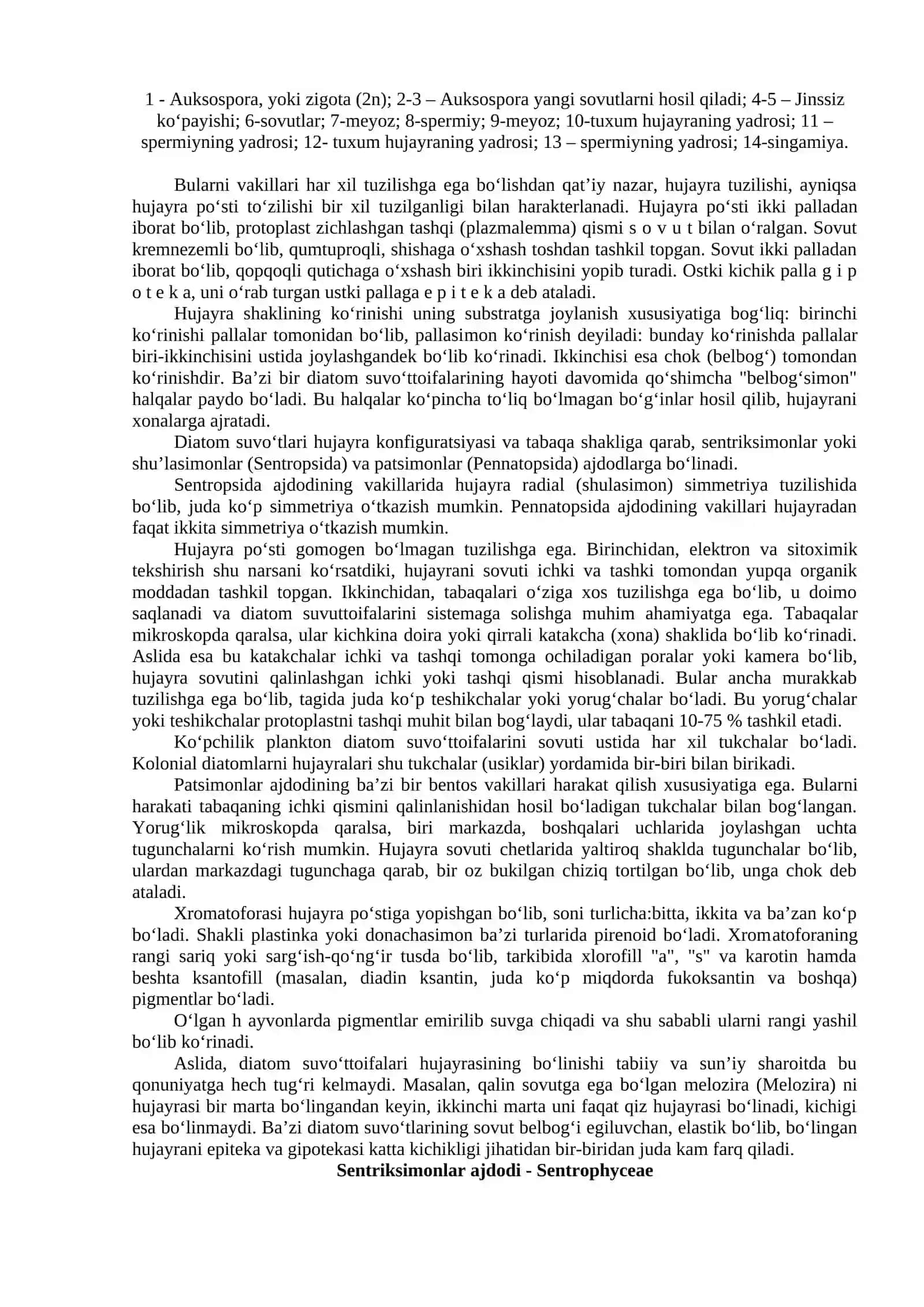 Diatom Suvo‘ttoifalar Bo‘limi – Diatomeae Bassillariophyta 2