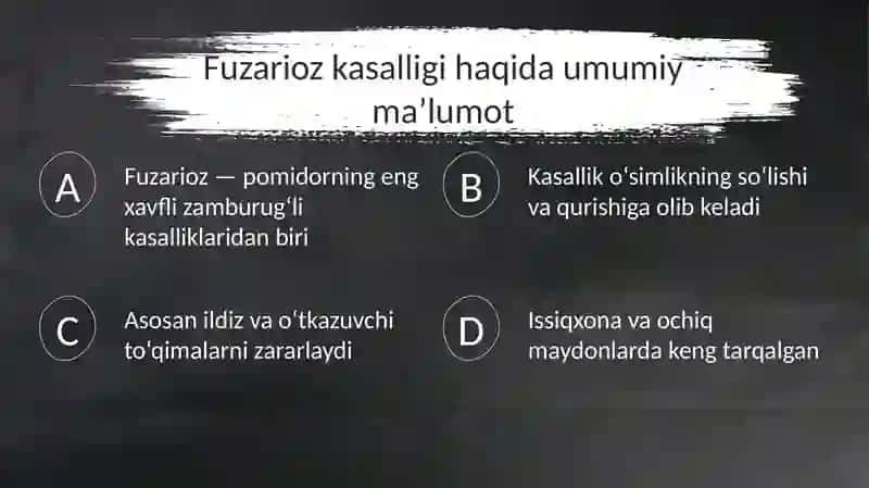 Pomidorning fuzarioz kasalligi 2