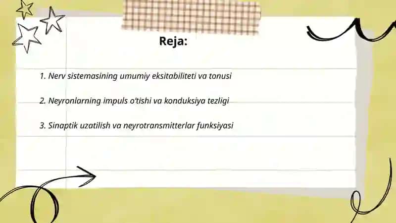 Nerv sistemasining funksional holati 2