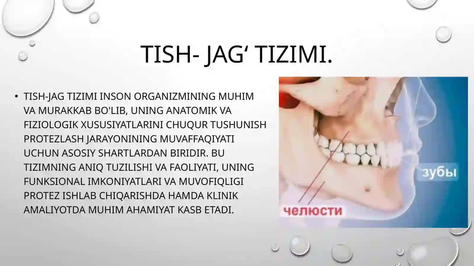 Tish-jagʻtizimi 2
