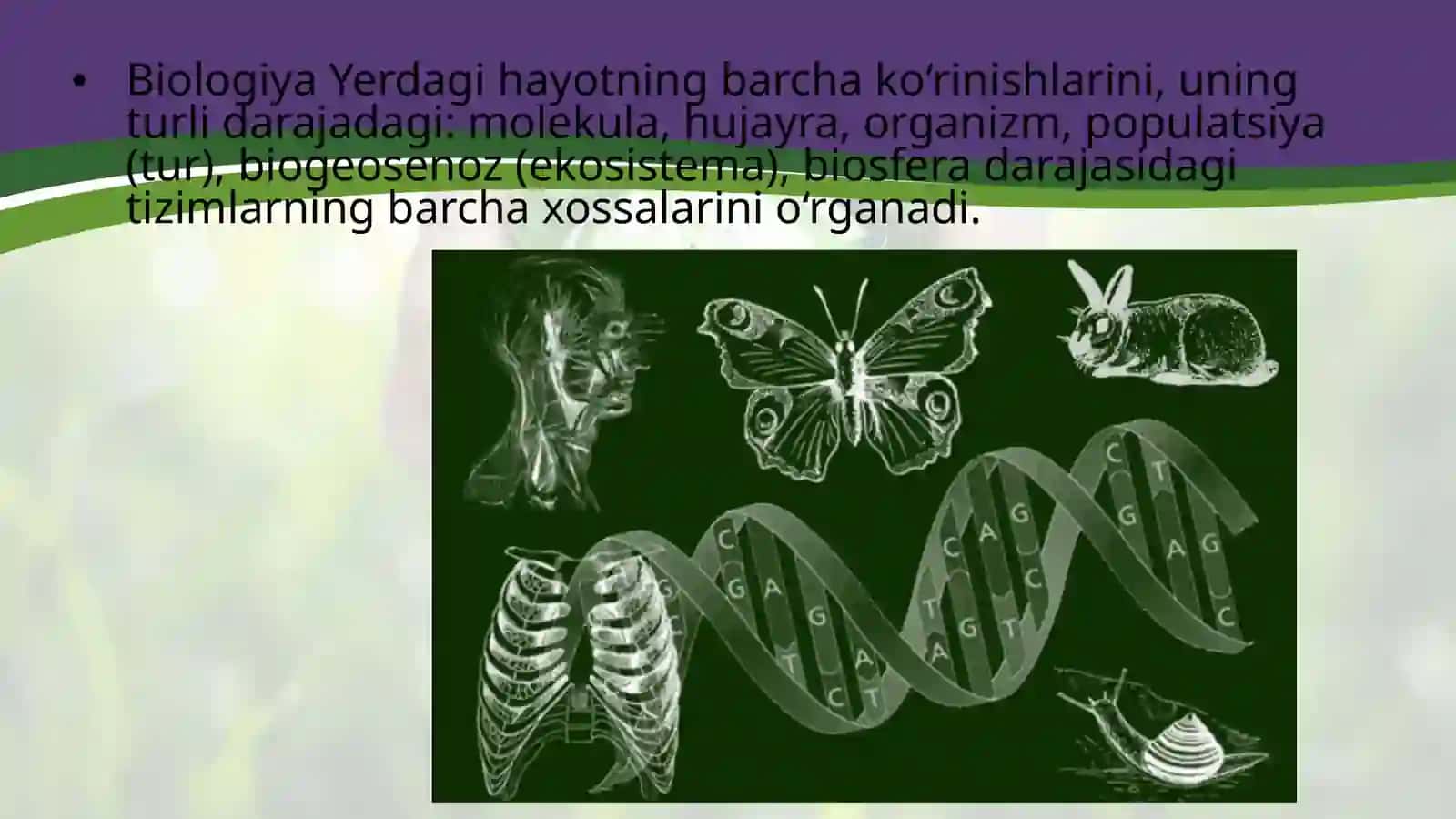 10-sinf Biologiya fanidan Biologiya hayot haqidagi fan mavzusida dars taqdimot 2