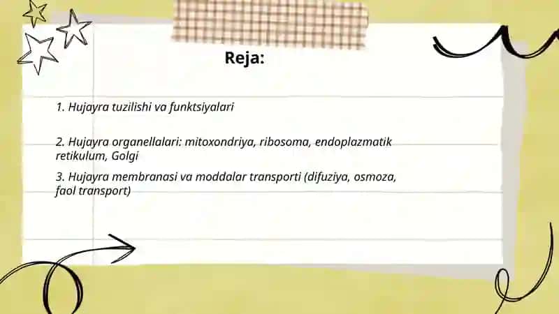 Odam tana qisimlari tuzulishi va funksiyalari xujayra toqima organlar sistemasi 2