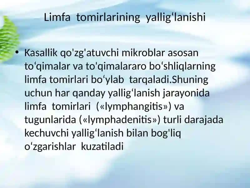 Limfatomirlariningyallig‘lanishi 2