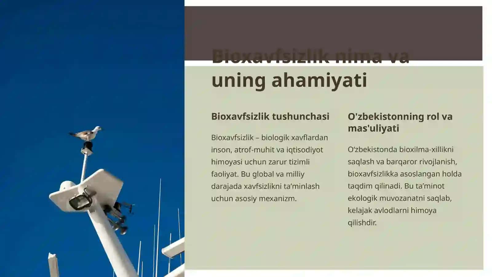 Bioxavfsizlik: Tuzilishi va Huquqiy Asoslari 2