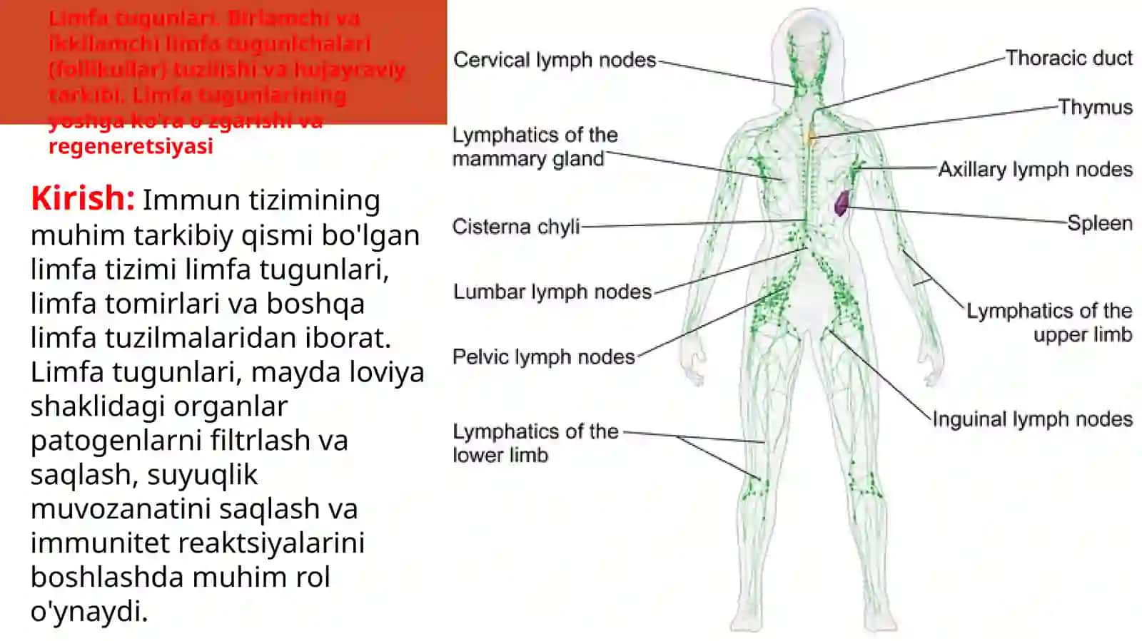 TOSHKENT TIBBIYOT AKADEMIYASI TIBBIY BIOLOGIYA VA GISTALOGIYA KAFEDRASI 1-DAVOLASH 120-GURUH 2