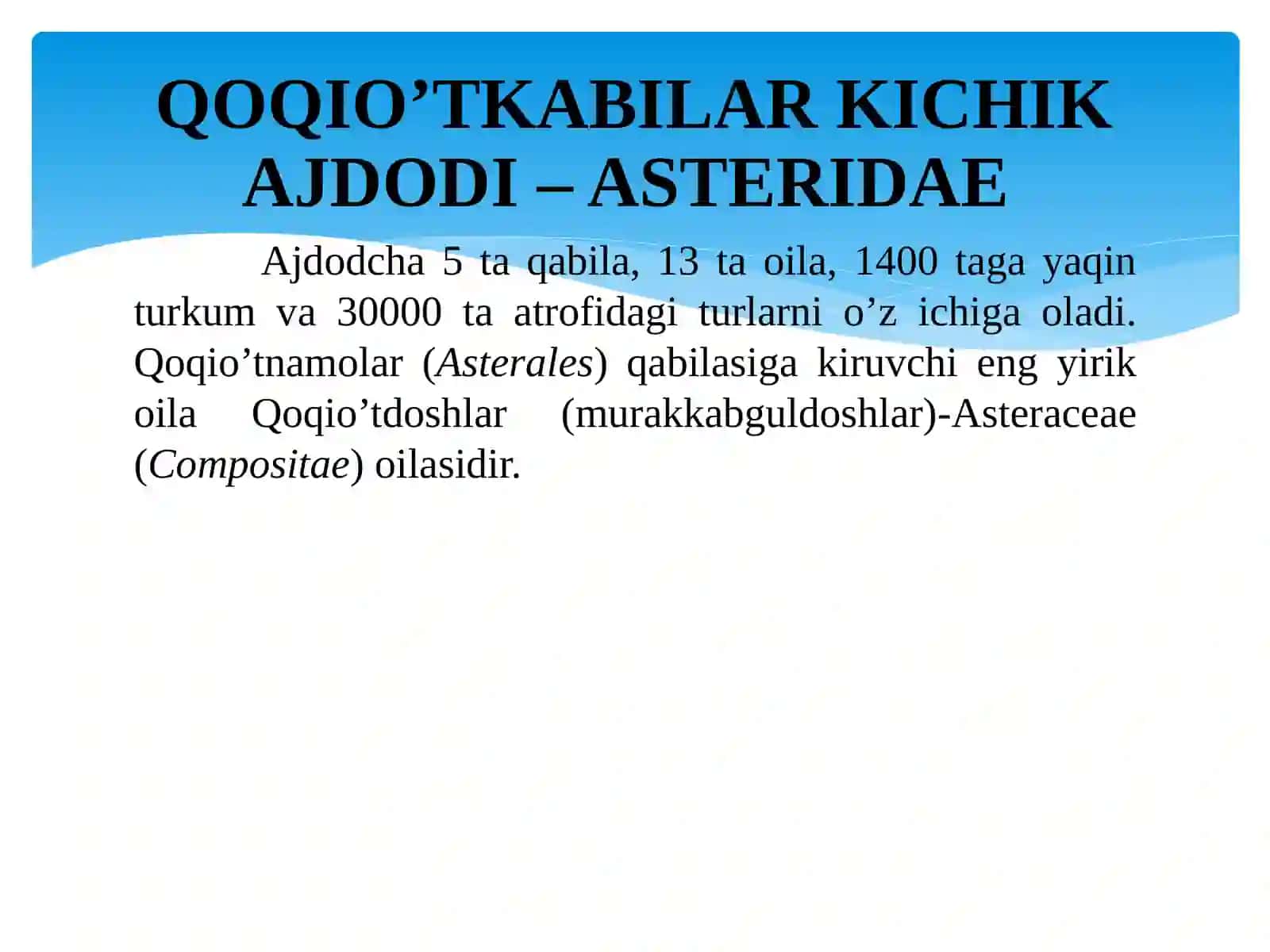 Qoqio’tkabilar kichik ajdodi – Asteridae 2