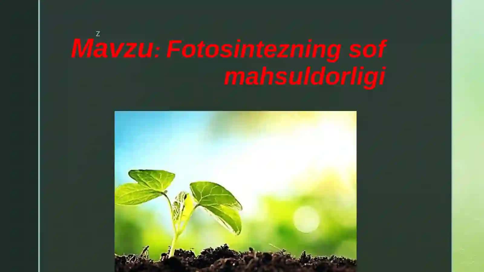 Fotosintezning so'fiylik darajasi 2