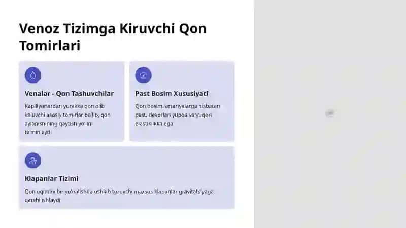 Venoz Tizimning Anatomik Xususiyatlari 2