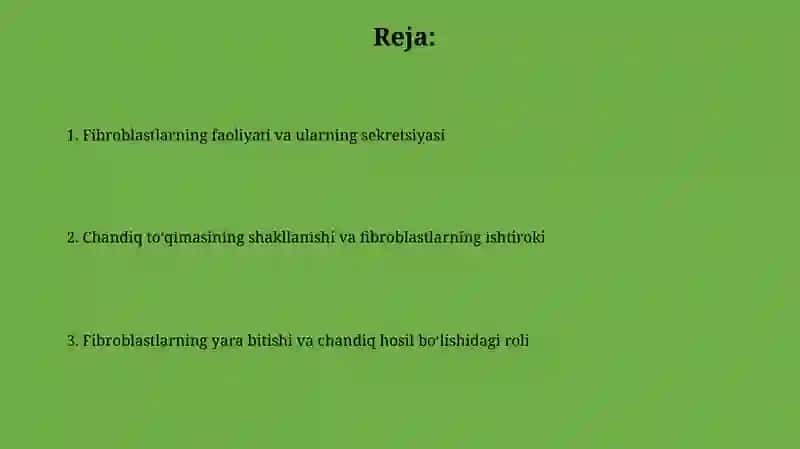 Fibroblastlarning jarohatning bitishi va chandiq hosil boʻlishidagi roli 2