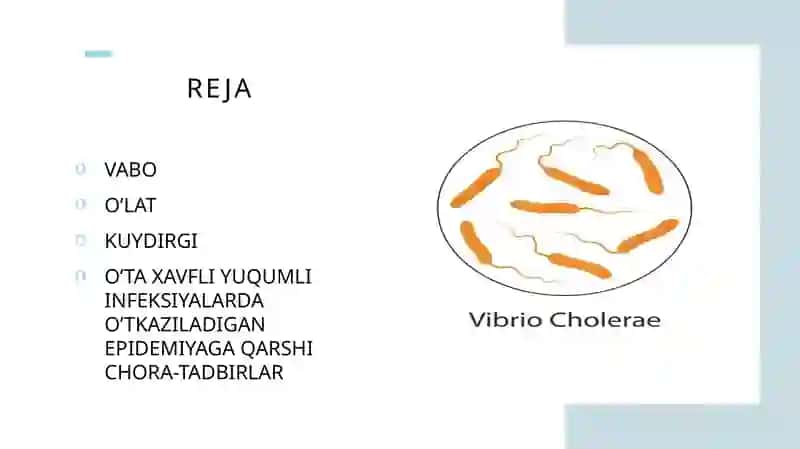 O’taxavfli yuqumli infeksiyalar. Epidemiologiya 2